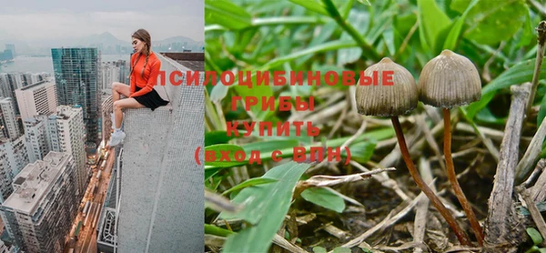 гашишное масло Алзамай