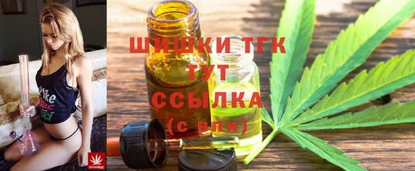 МДПВ Алексин