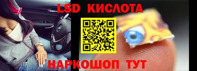 спиды Кингисепп