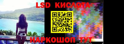 спиды Кингисепп