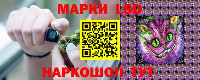 спиды Кингисепп