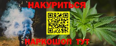 спиды Кингисепп