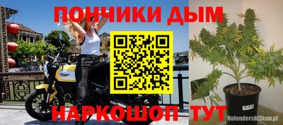 спиды Кингисепп