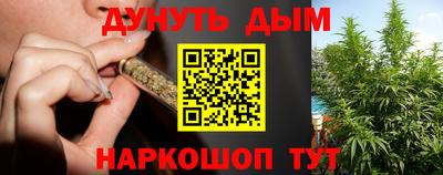 спиды Кингисепп