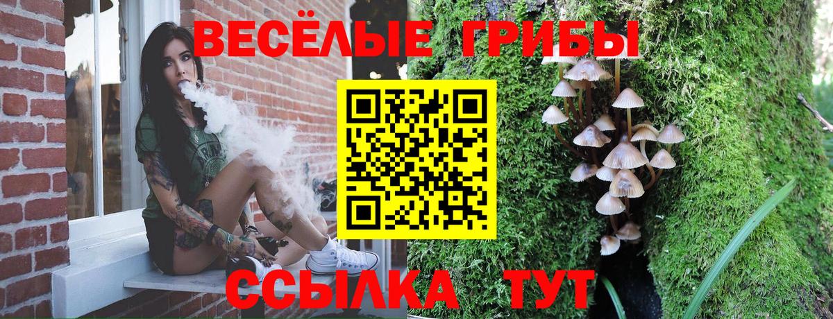Галлюциногенные грибы мицелий Кропоткин