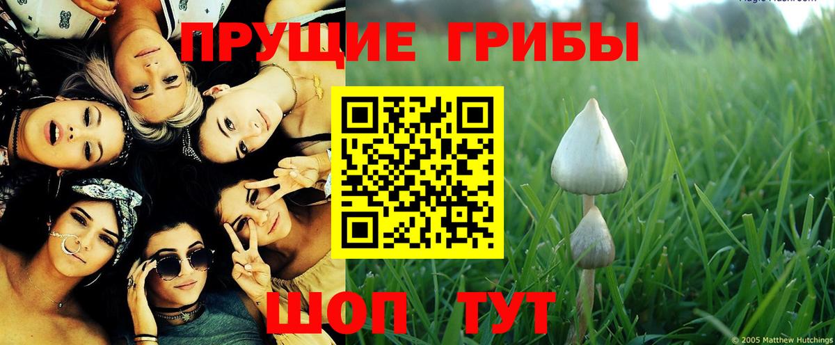 Кропоткин  Галлюциногенные грибы MAGIC MUSHROOMS  Галлюциногенные грибы GOLDEN TEACHER  Вход с VPN 